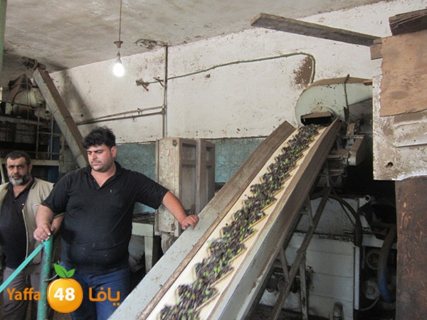 zatoon bayareq (21).JPG